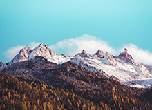 华体会体育在线-【问答】国家队重建失败模板：勒夫拒“三老”错在哪？